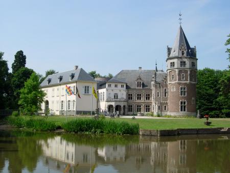 Kasteel De  Renesse.jpg